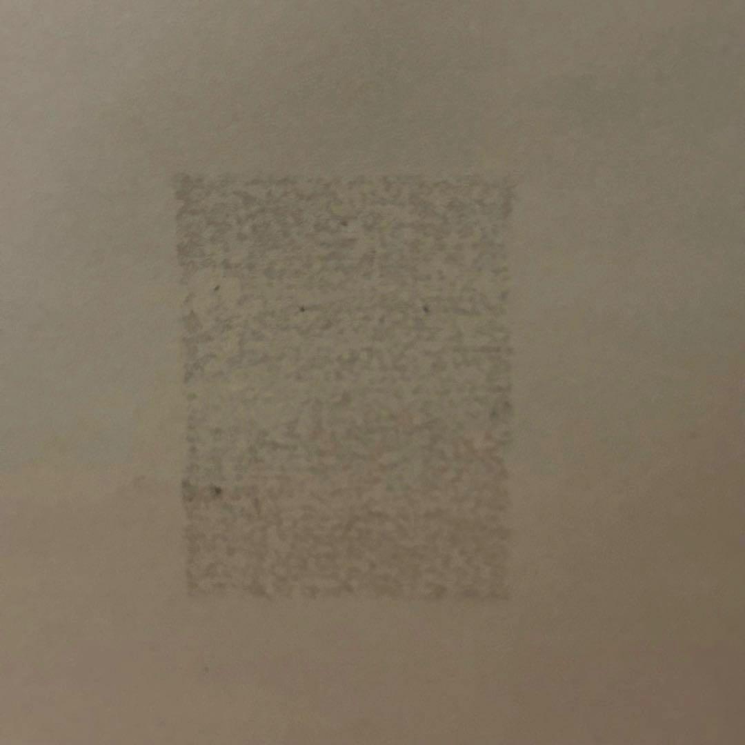 【訳あり特価⭐︎新品未使用】MG 1/100 プロヴィデンスガンダム