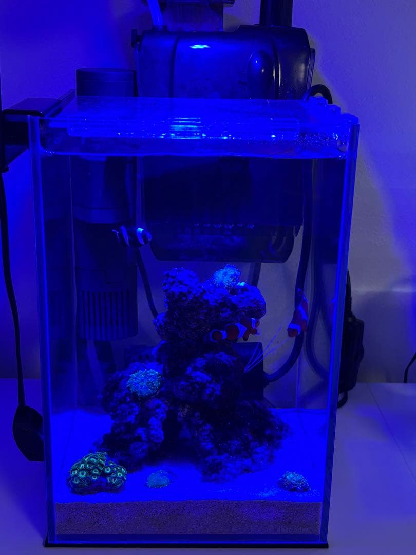 ボルクスジャパン　グラッシーレディオ　RX072e Deep