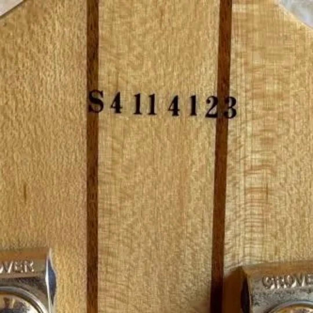 エピフォン　シェラトン