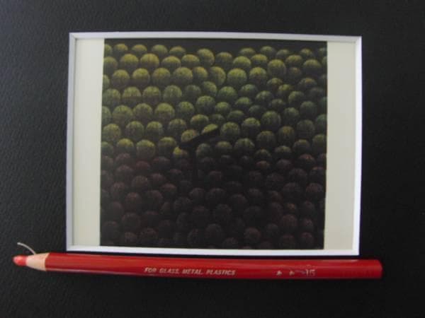 浜口陽三、メゾチント 、緑と紫のぶどう、希少な額装用画集より、新品高級額装付