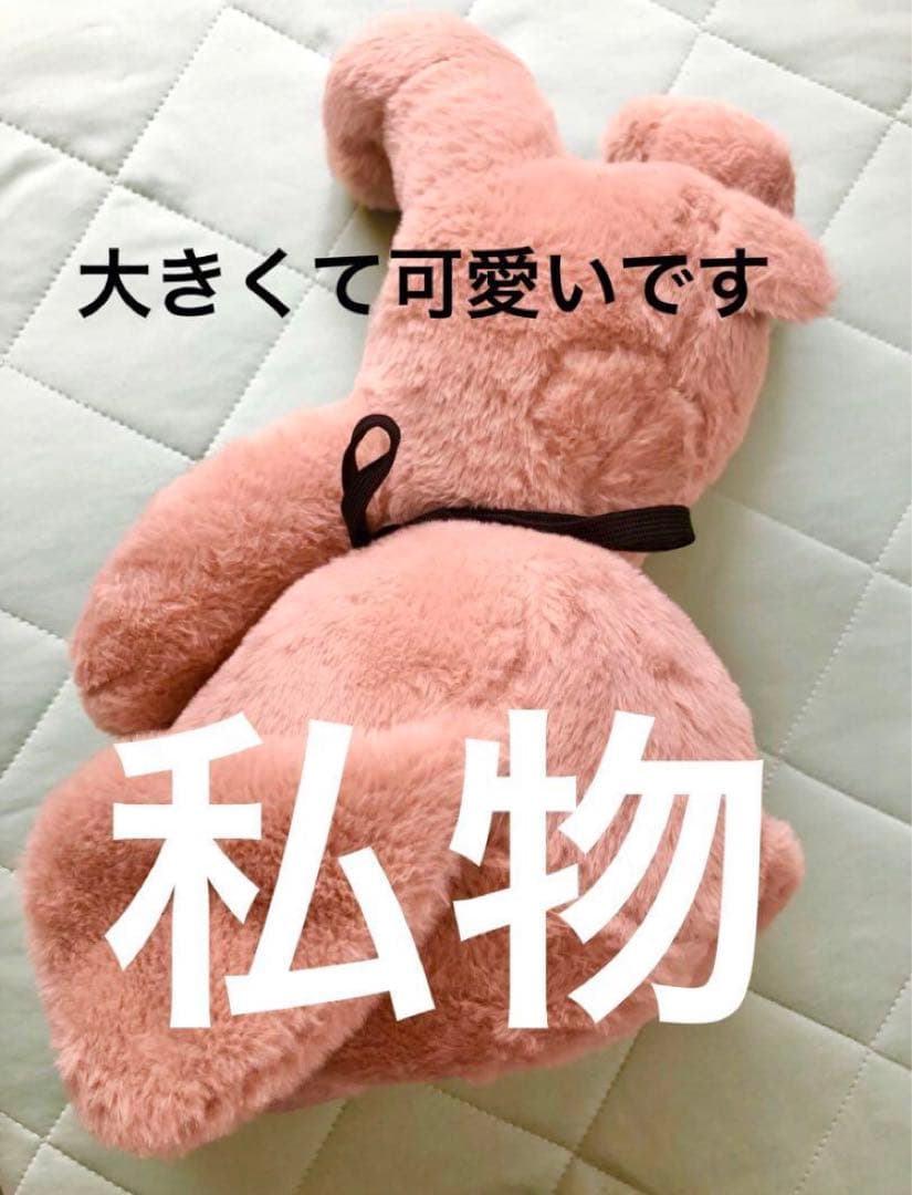 【★私物ぬいぐるみ付き★】D　ASAGI 浅葱　お楽しみ袋 グッズ チェキ