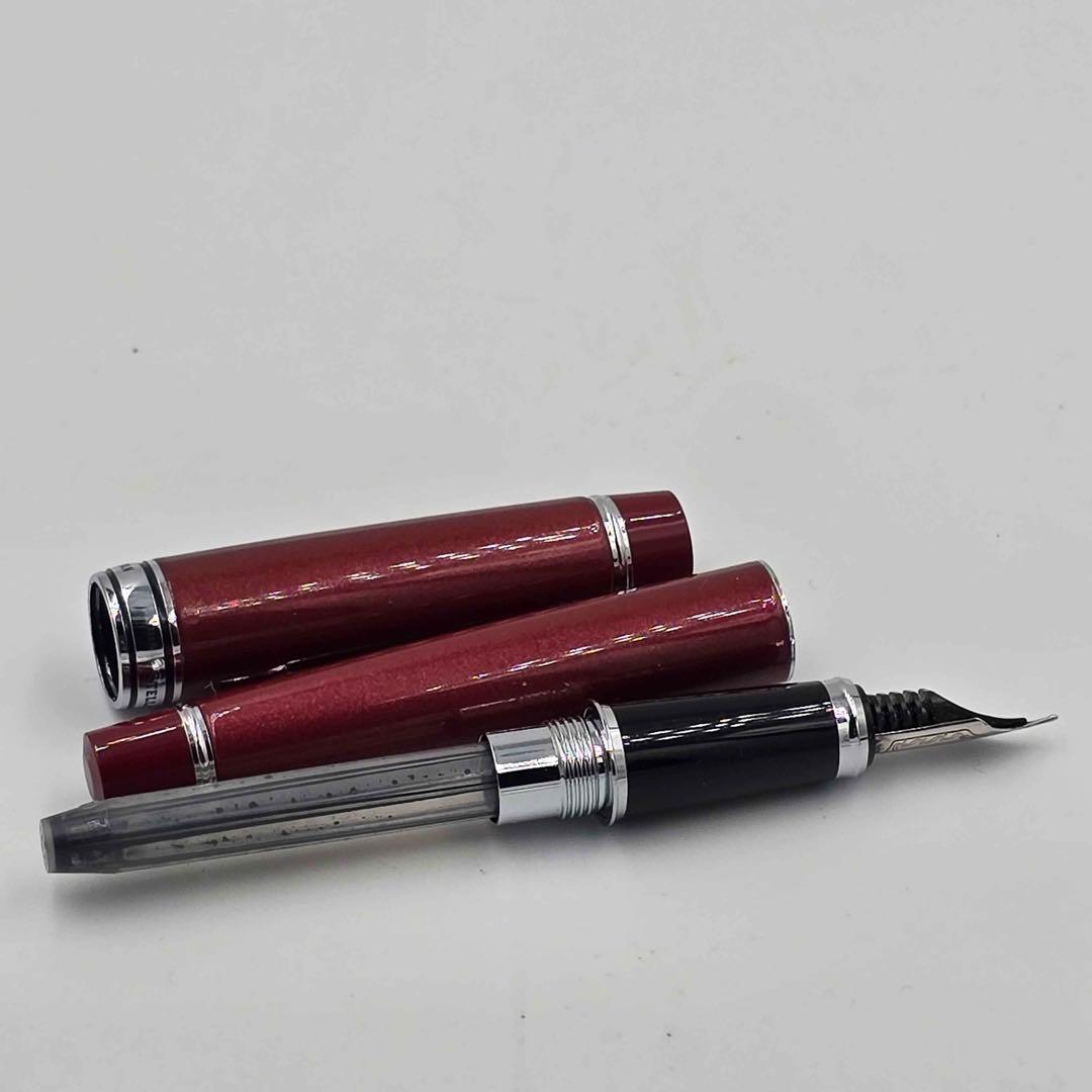 PILOT Stella 90s ルビーレッド 筆記未確認 名前入り 14金