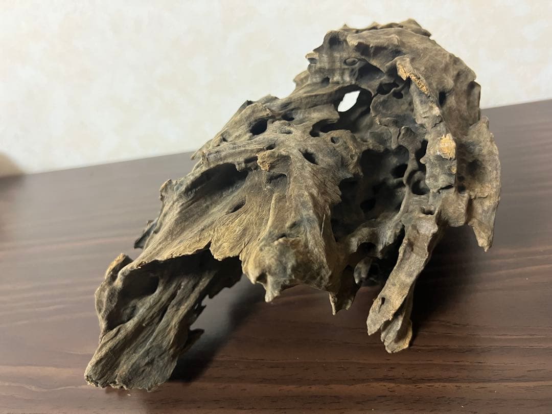 XM-367 ブランチウッド　流木　マシンガンウッド　アクアリウム　沈水確認済