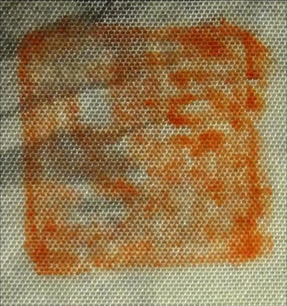 掛軸 増井富子『春景山水図』絹本 肉筆 共箱付 掛け軸 p053010