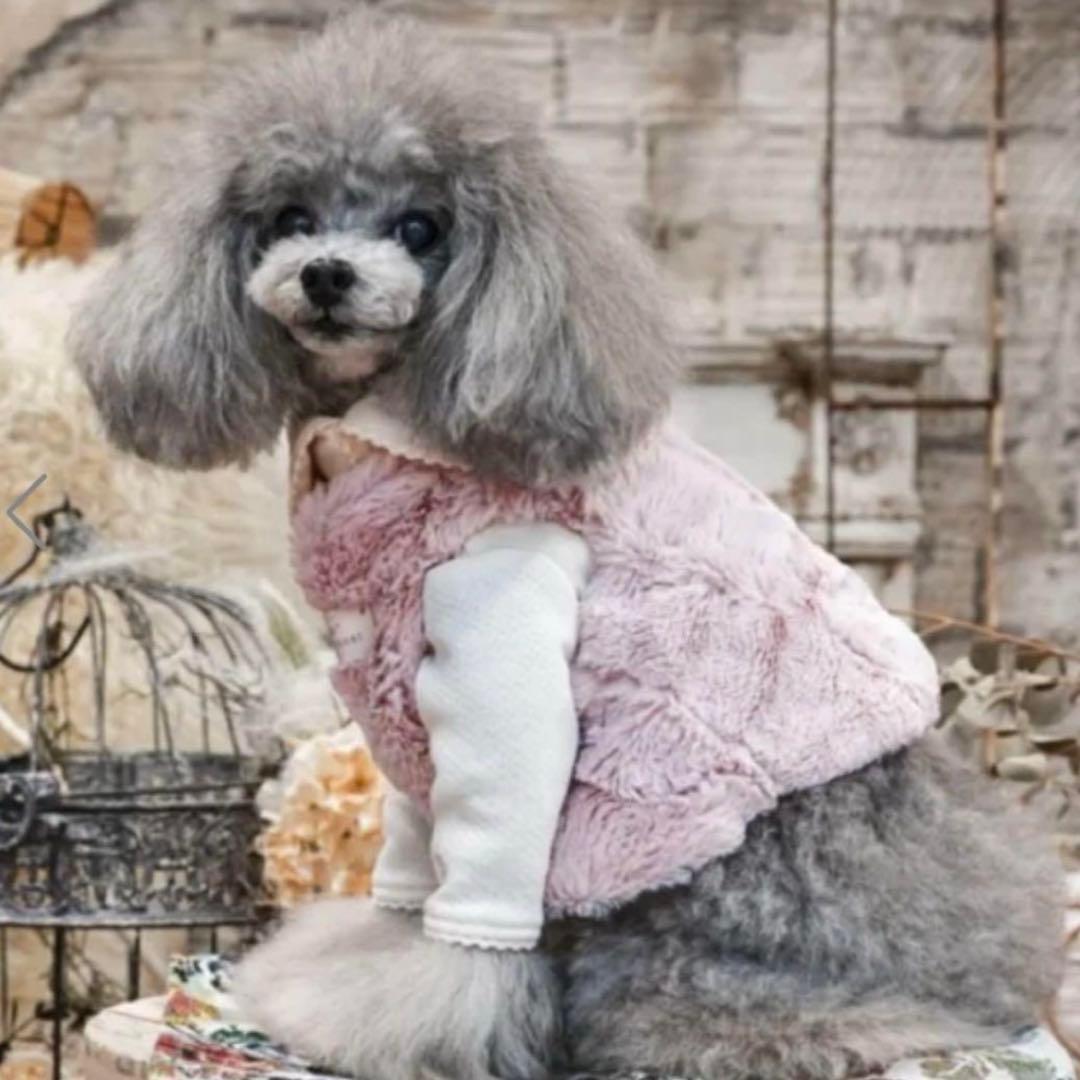 ● PP* closet ● タグファーベスト●40