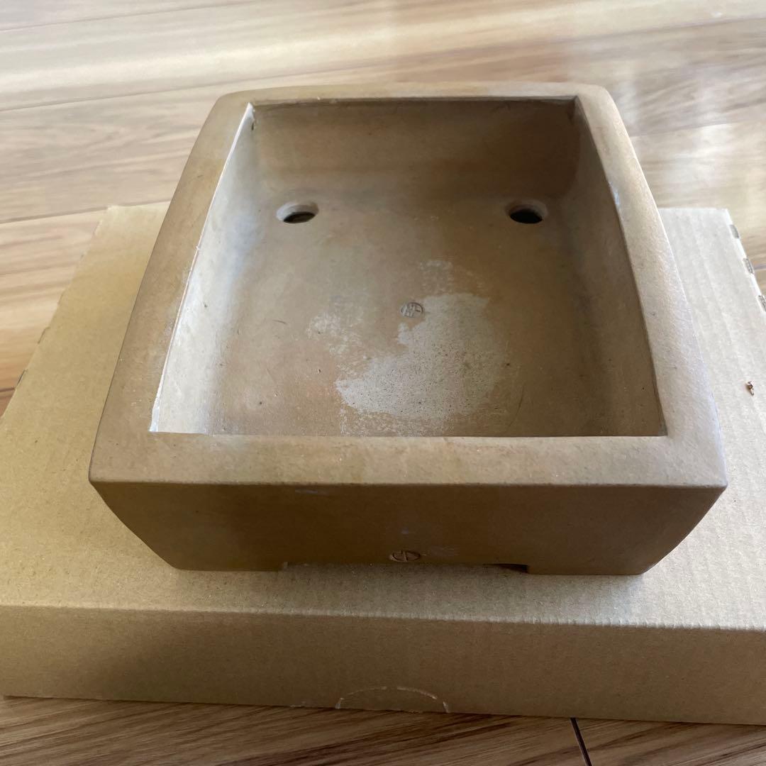 盆栽鉢　植木鉢　落款印　長方形　大きめ　シンプル　山野草