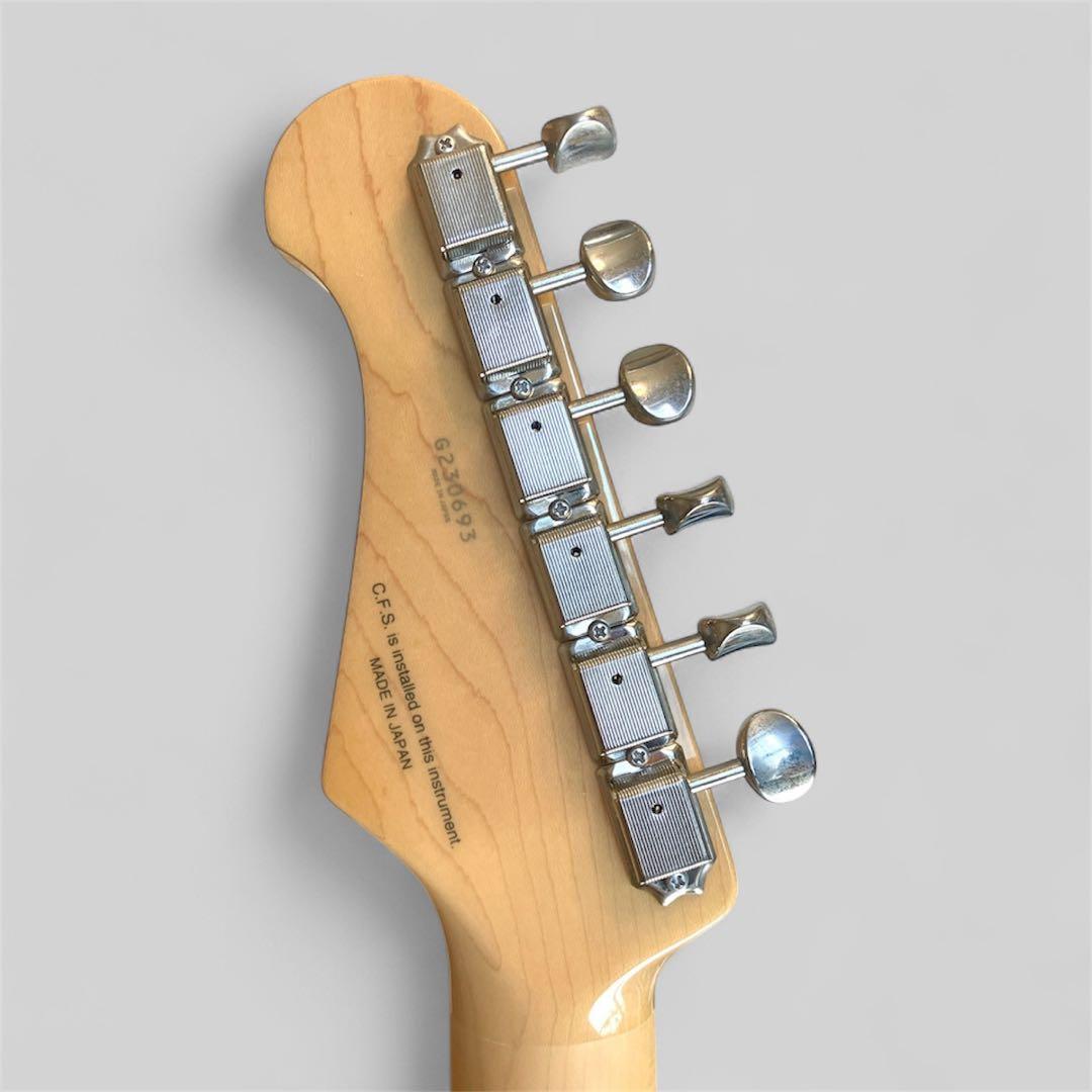 FUJIGEN Neo Classic NTE100MAH-VNT（ケース付き）