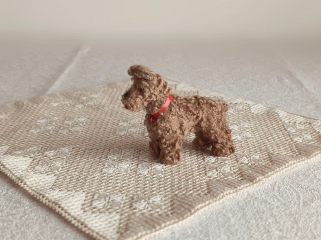 * vintage dog ❀ クルクル巻き毛がキュートな ワンちゃん