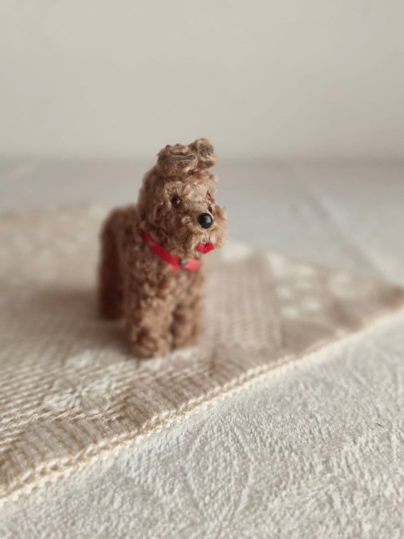 * vintage dog ❀ クルクル巻き毛がキュートな ワンちゃん