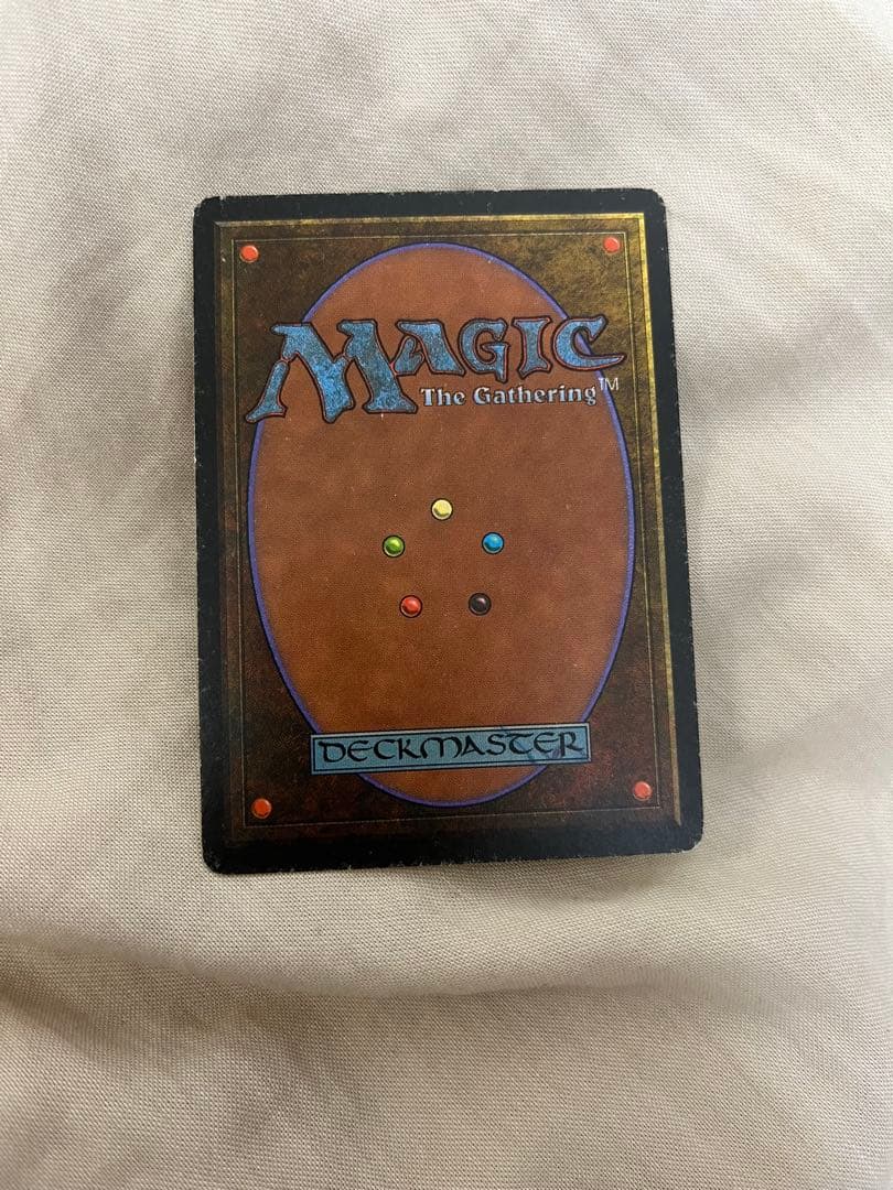 a*o様 【格安】Savannah 英語　サバンナ　デュアルランド