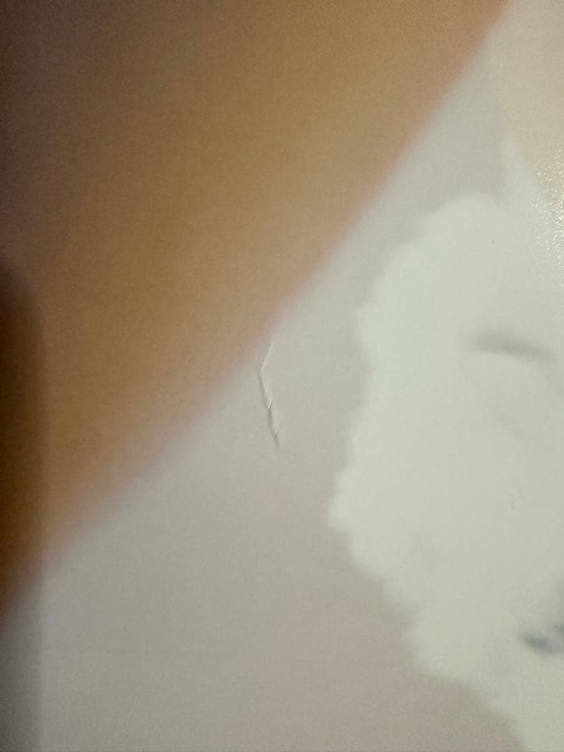 広瀬すずポスター【本人直筆サイン入り】【イベント限定特典】【非売品】在庫1点限り