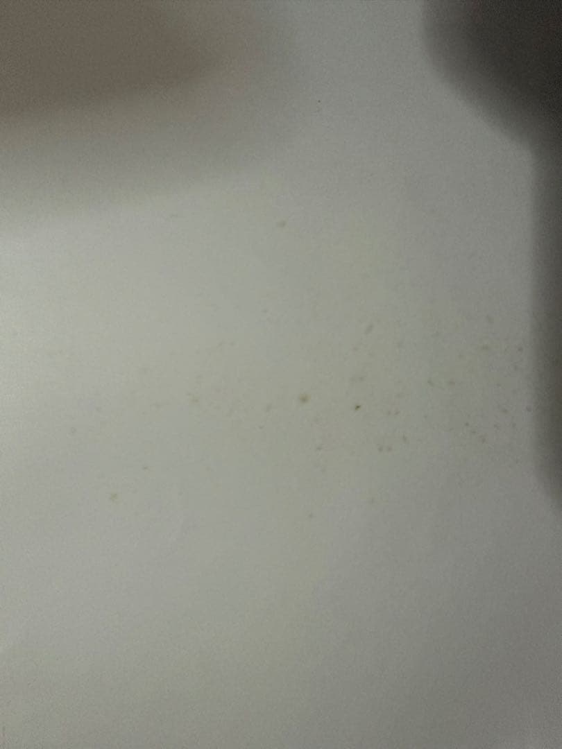 広瀬すずポスター【本人直筆サイン入り】【イベント限定特典】【非売品】在庫1点限り