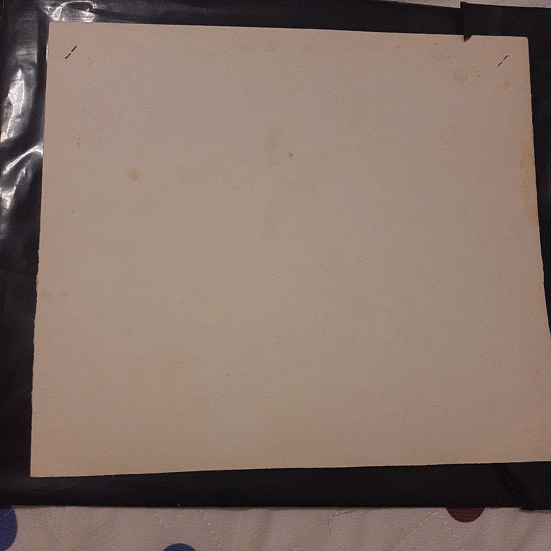 DRAGON BALL　ドラゴンボール　セル画　孫悟飯