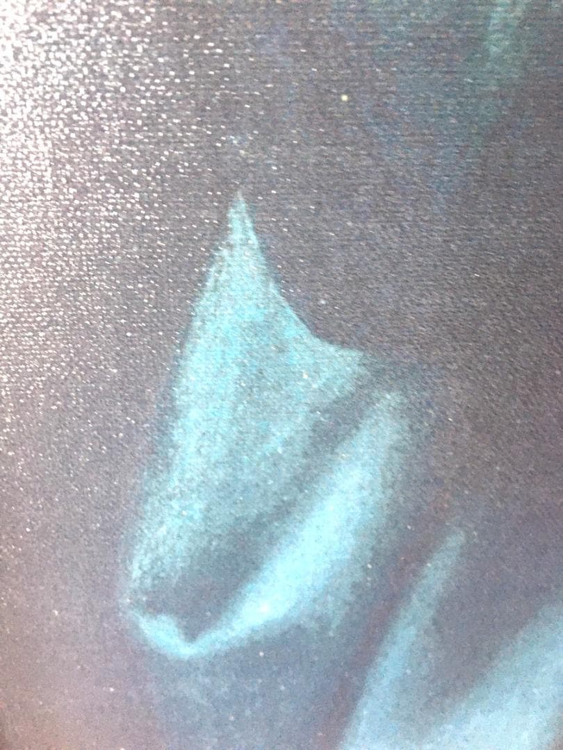 ラファエロ 「大公の聖母」 印刷画 額縁付き 額縁 額装 金縁