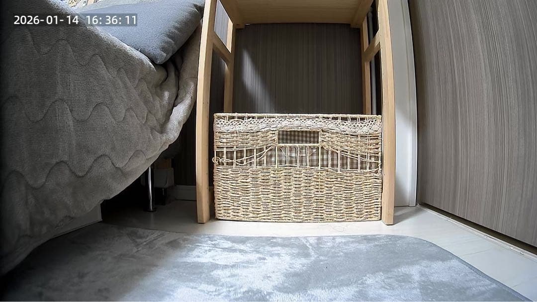 BLIXIA 自動給餌器 ステンレス製ボウル付き