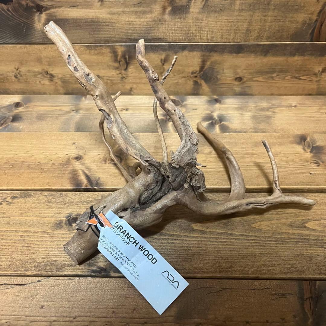 【厳選流木】　ADA社　ブランチウッド4本　2025年カレンダーおまけ付き