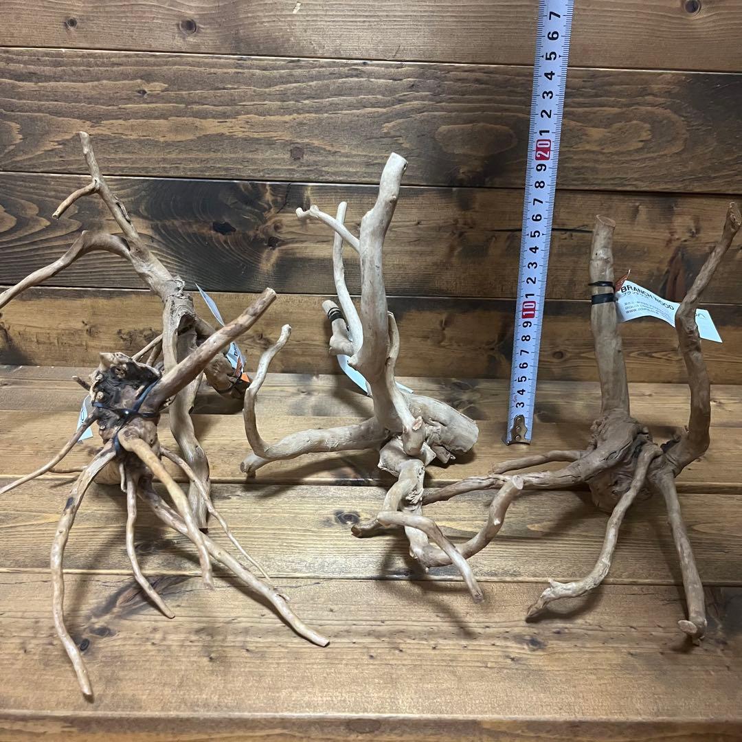 【厳選流木】　ADA社　ブランチウッド4本　2025年カレンダーおまけ付き