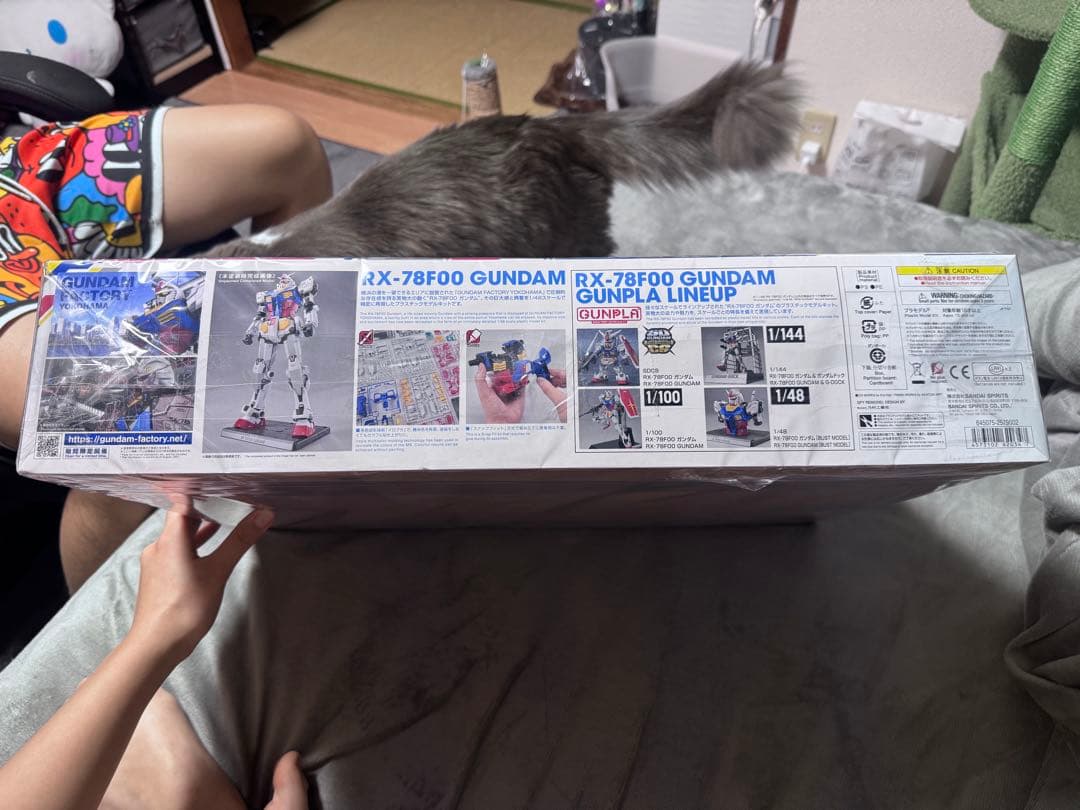 ロボット RX-78F00 GUNDAM 1/48 BANDAI