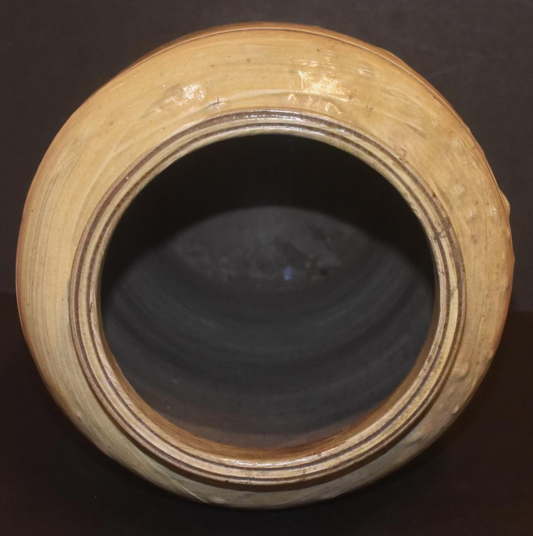 磁州窯　吉州窯　鉄絵　魚草文壷　23-12-03-07