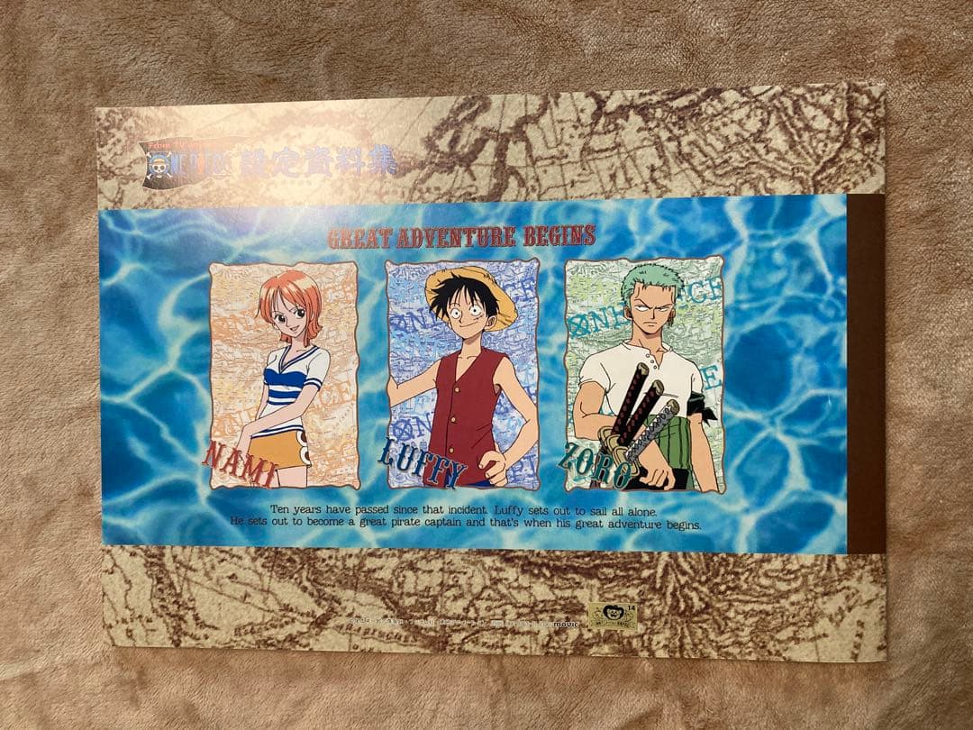 ONE PIECE 設定資料集