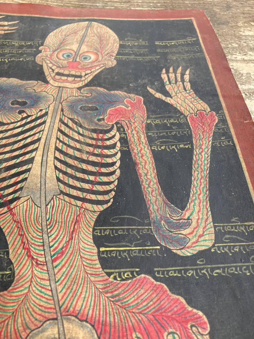 タンカ　チベット直筆人体図　ドクロ