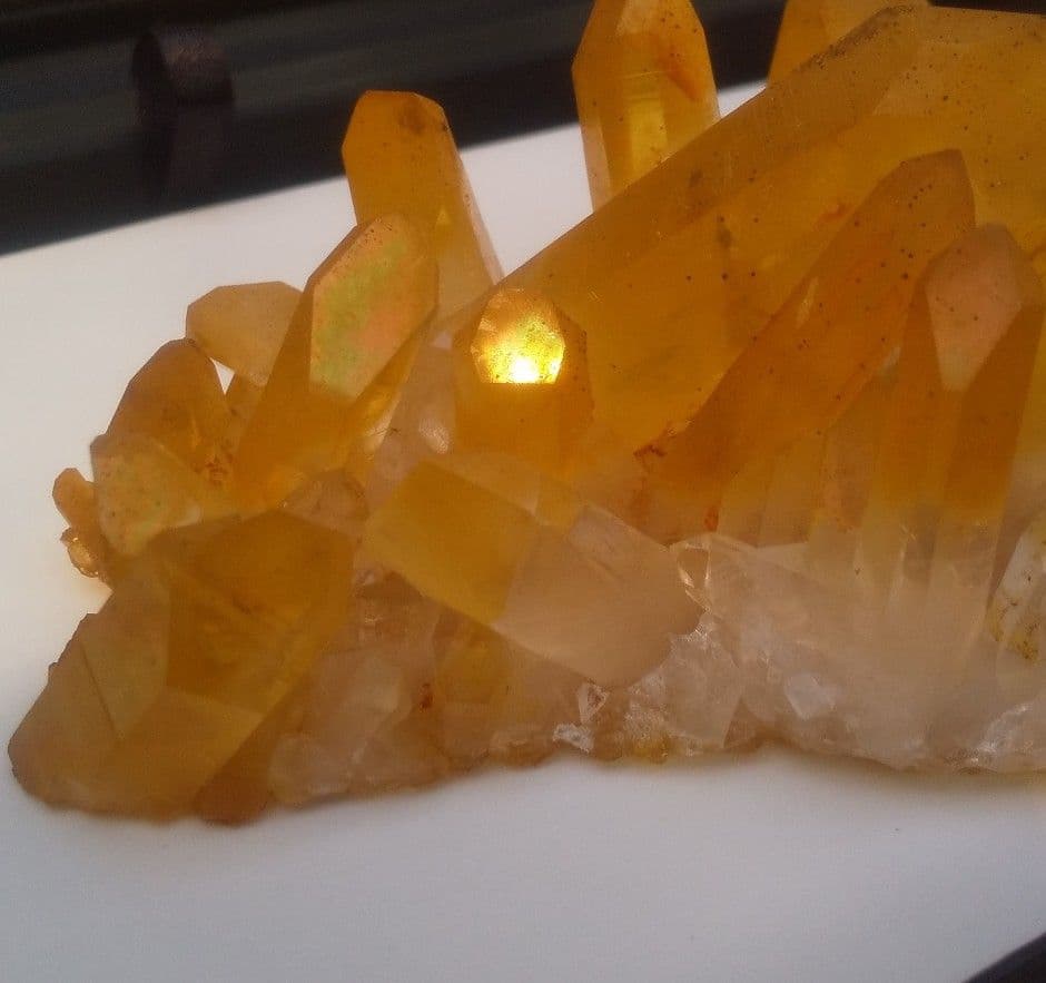 希少 クラスター ゴールデンヒーラー　上質！