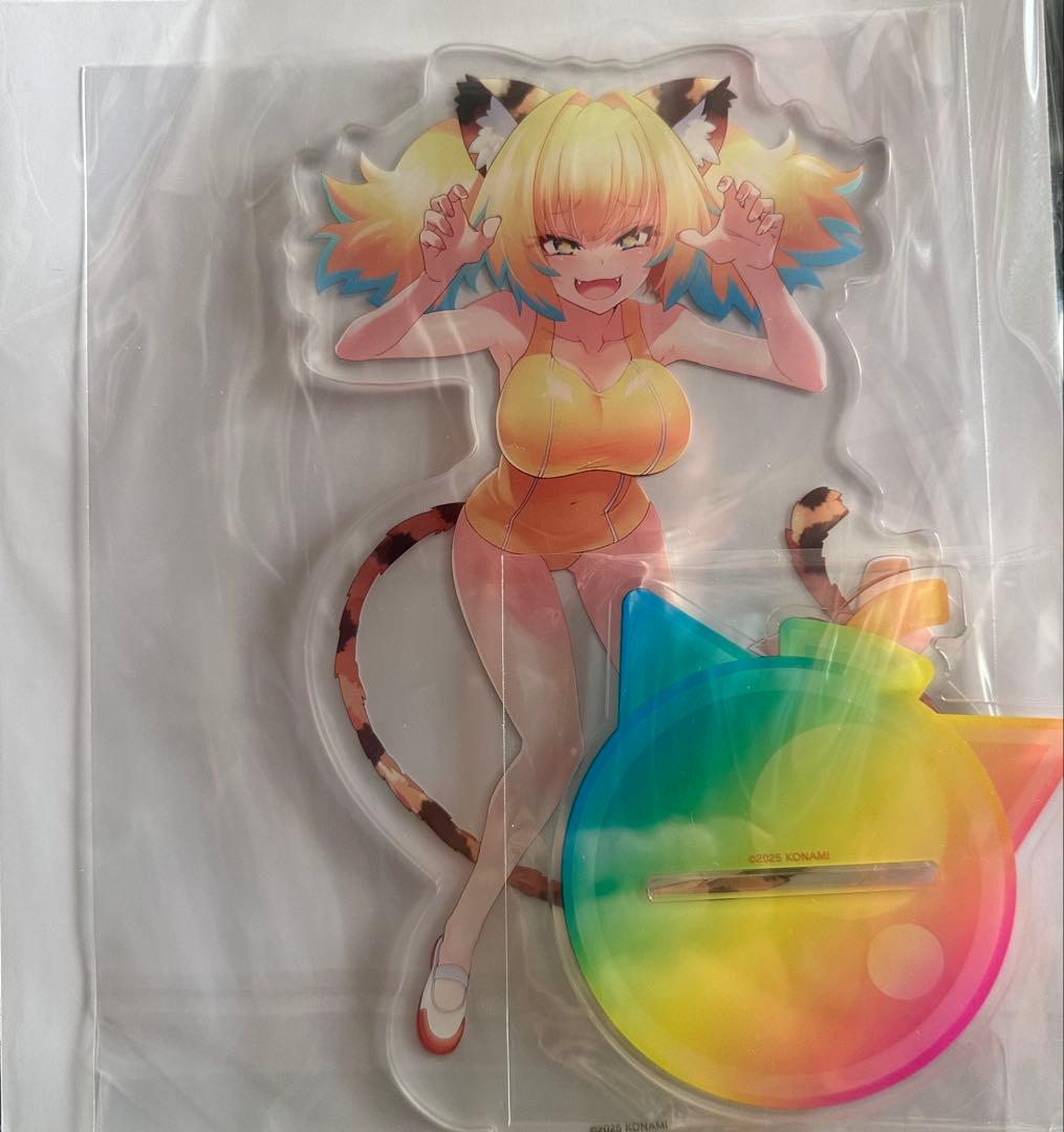 ボンバーガール　パイン　セット