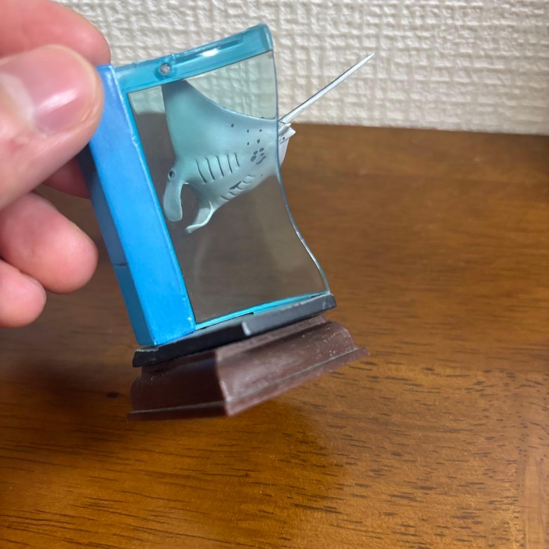 ネイチャーテクニカラー　海遊館　オニエイトマキエイ