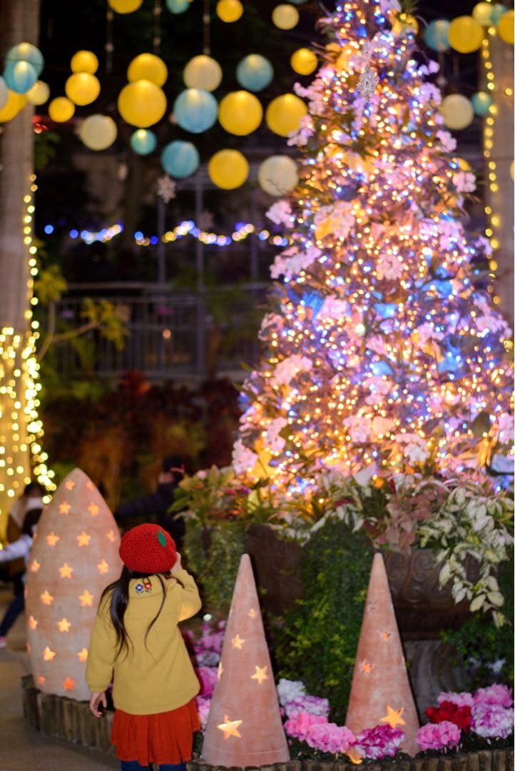 レンズ(単焦点) Nikkor 58mm f1.4 G