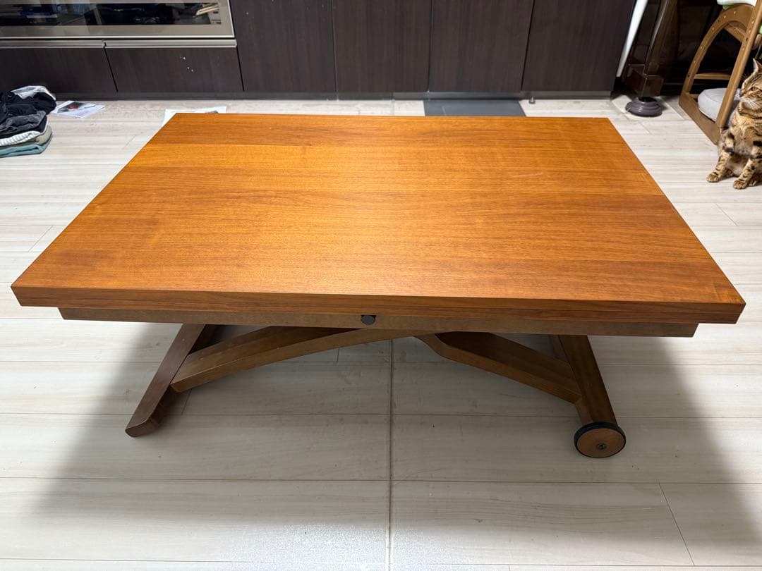 【フロイト】カリガリス・テーブル（1/3）