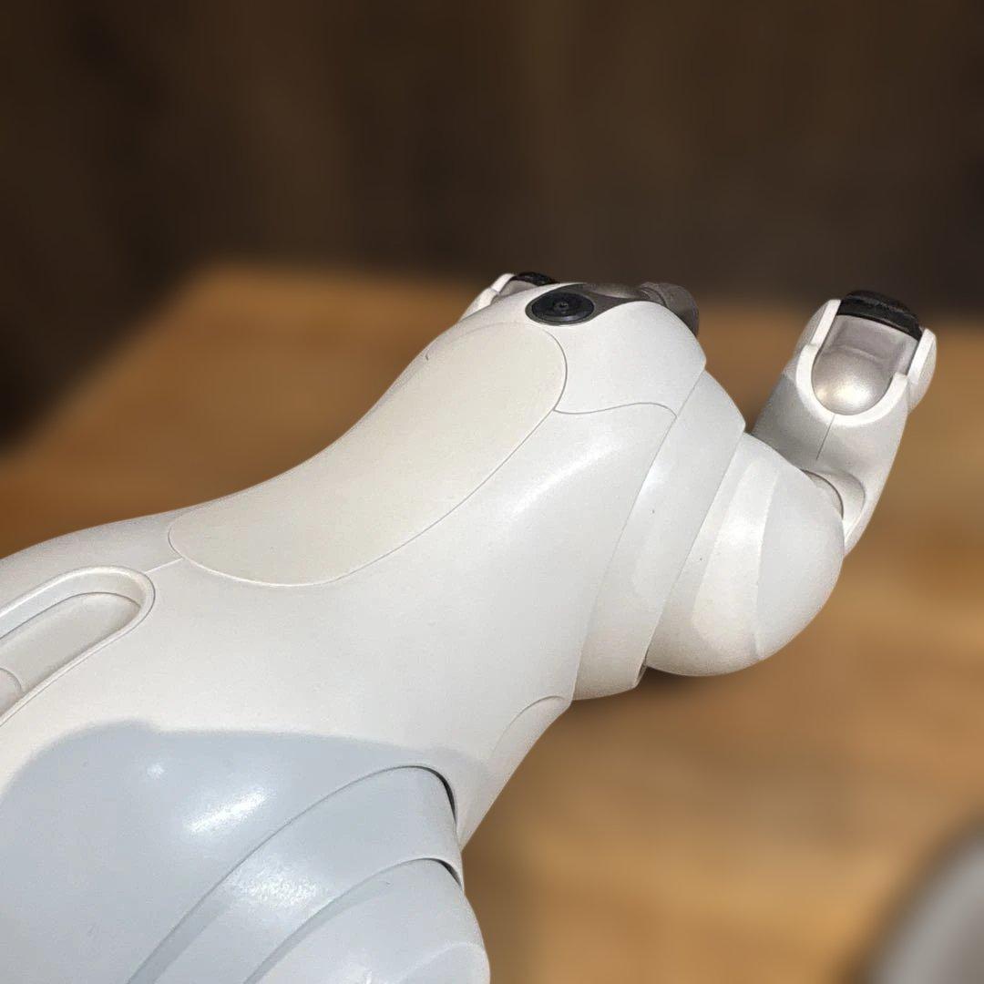 aibo アイボ