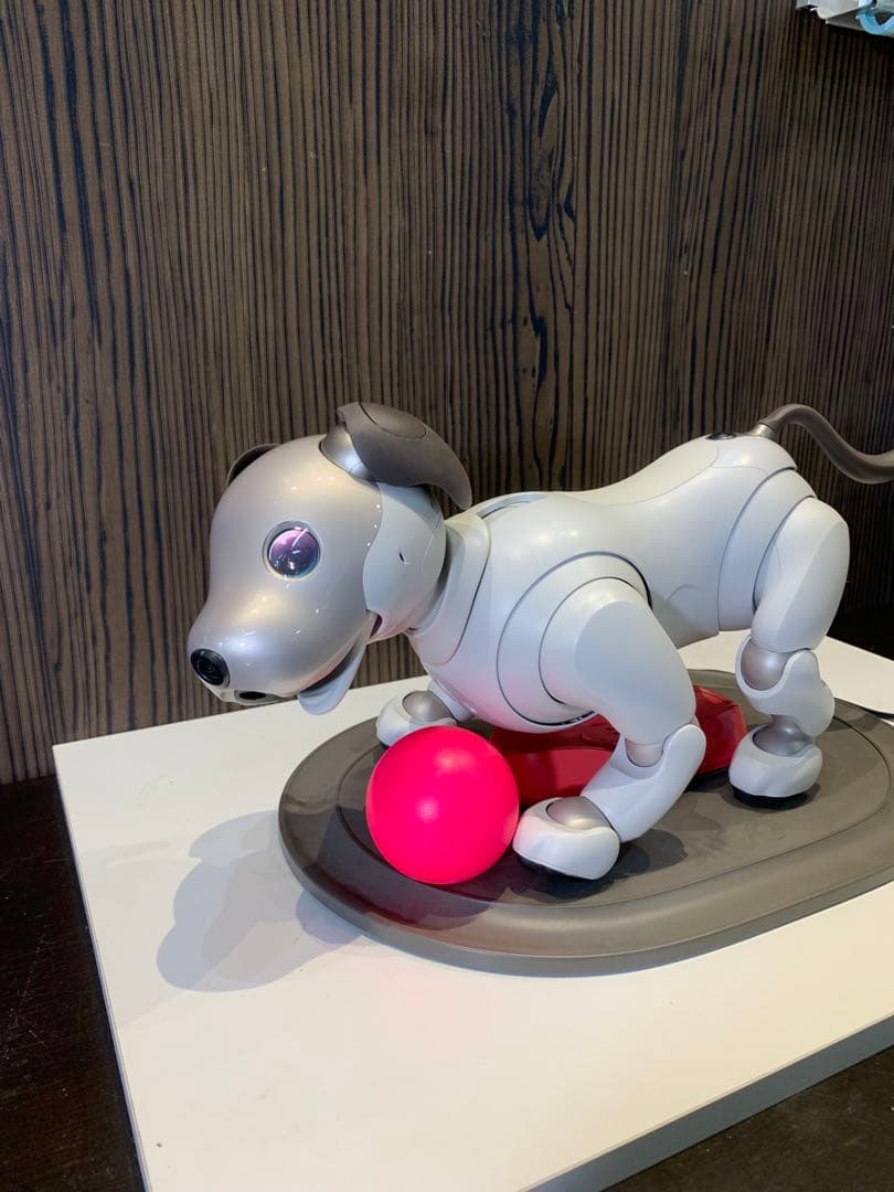 aibo アイボ