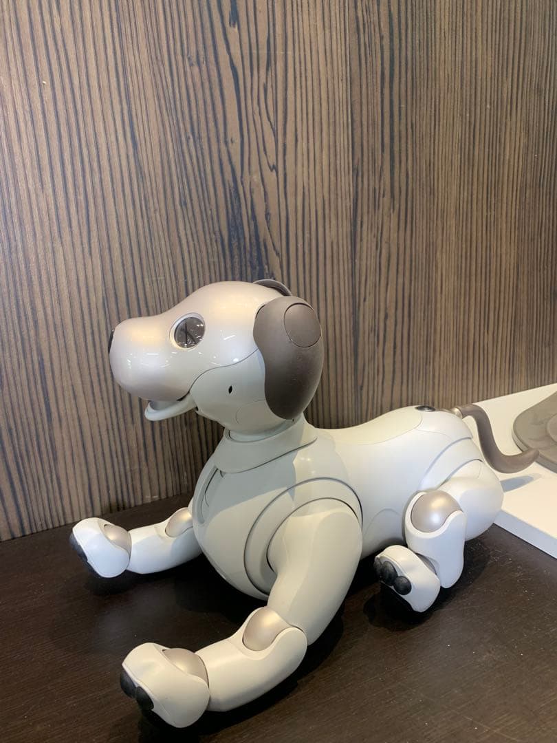 aibo アイボ