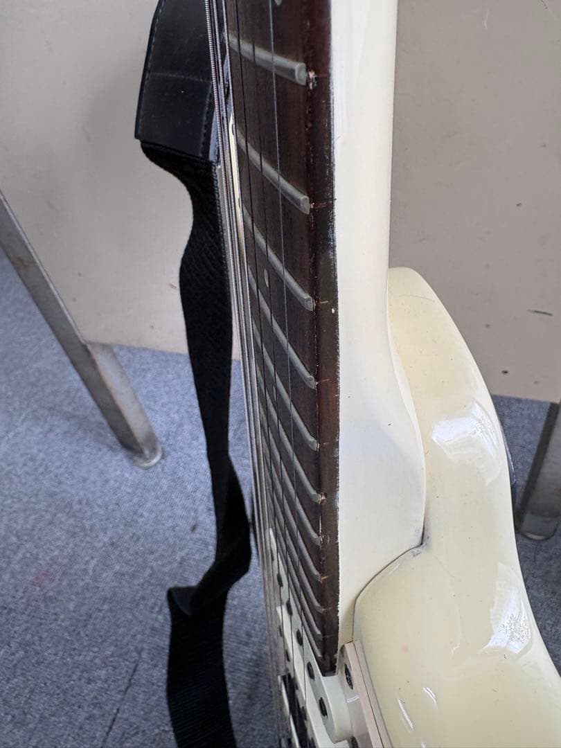 ⭐️希少⭐️ Aria Pro II（アリアプロII）　Black Dog