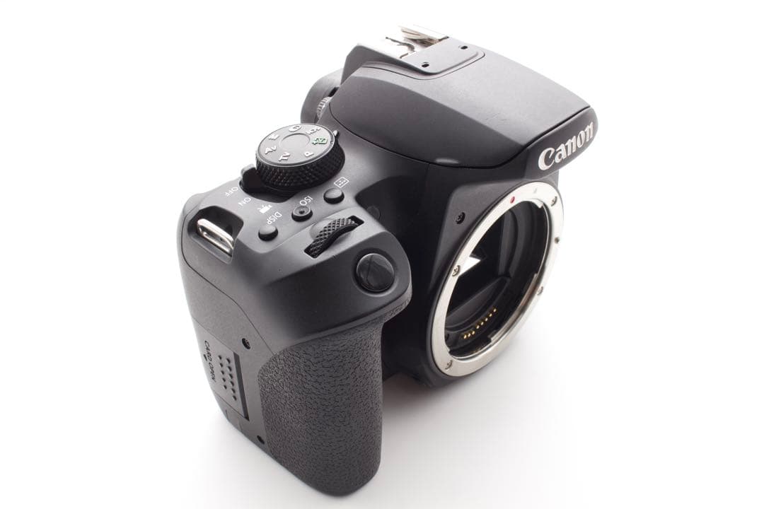 美品❣️Canon EOS Kiss X10i Wレンズ　50mm単焦点付き