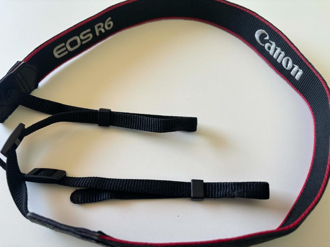 ビデオカメラ Canon EOS R6