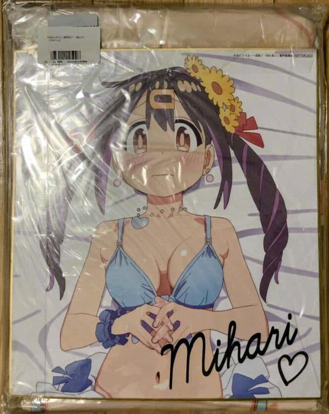 正規品新品未開封 お兄ちゃんはおしまい！ 緒山みはり 抱き枕カバー 特典付き