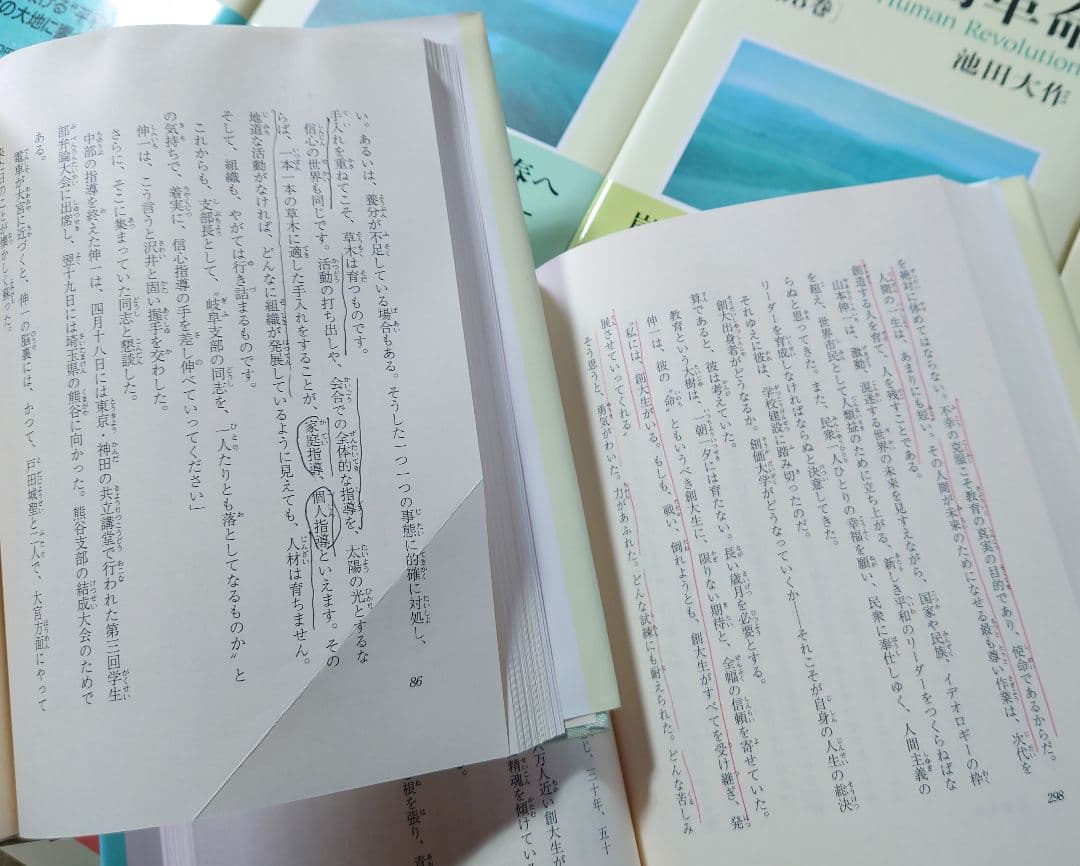 桜*子様 新人間革命 全巻セット 1-30上下巻 池田大作 創価学会