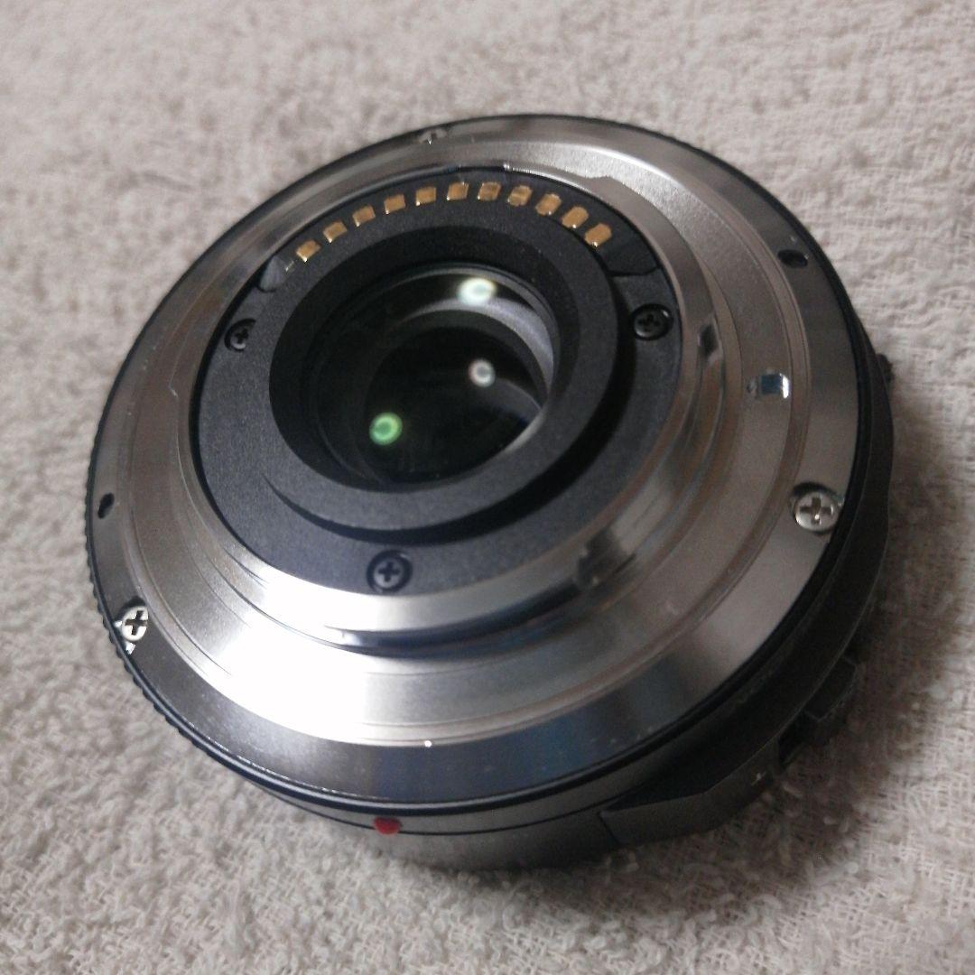 フィルムカメラ Panasonic Lumix DC-GF9W