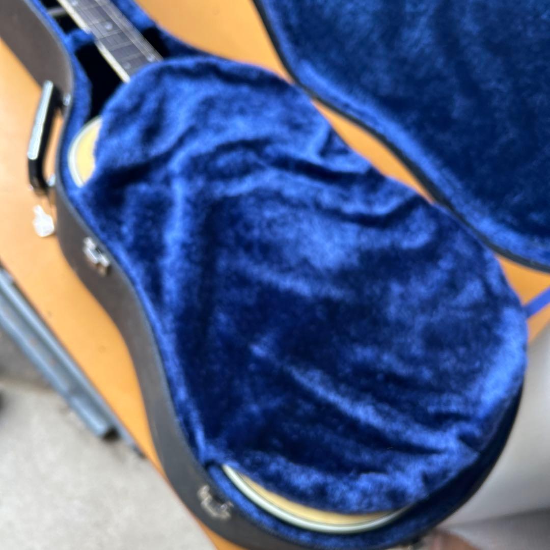 Morris アコースティックギター スプルース