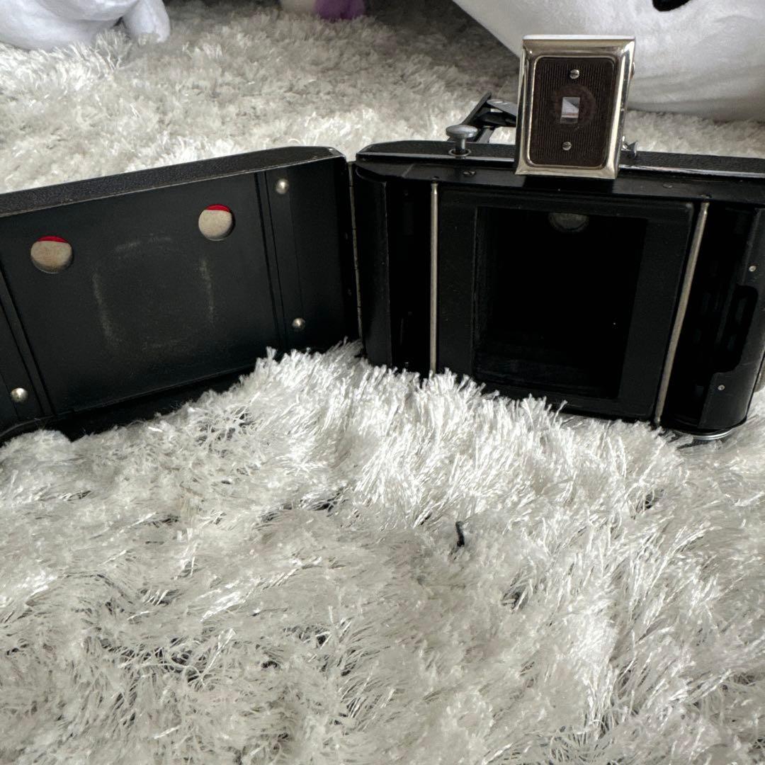 ケース付き 蛇腹カメラ