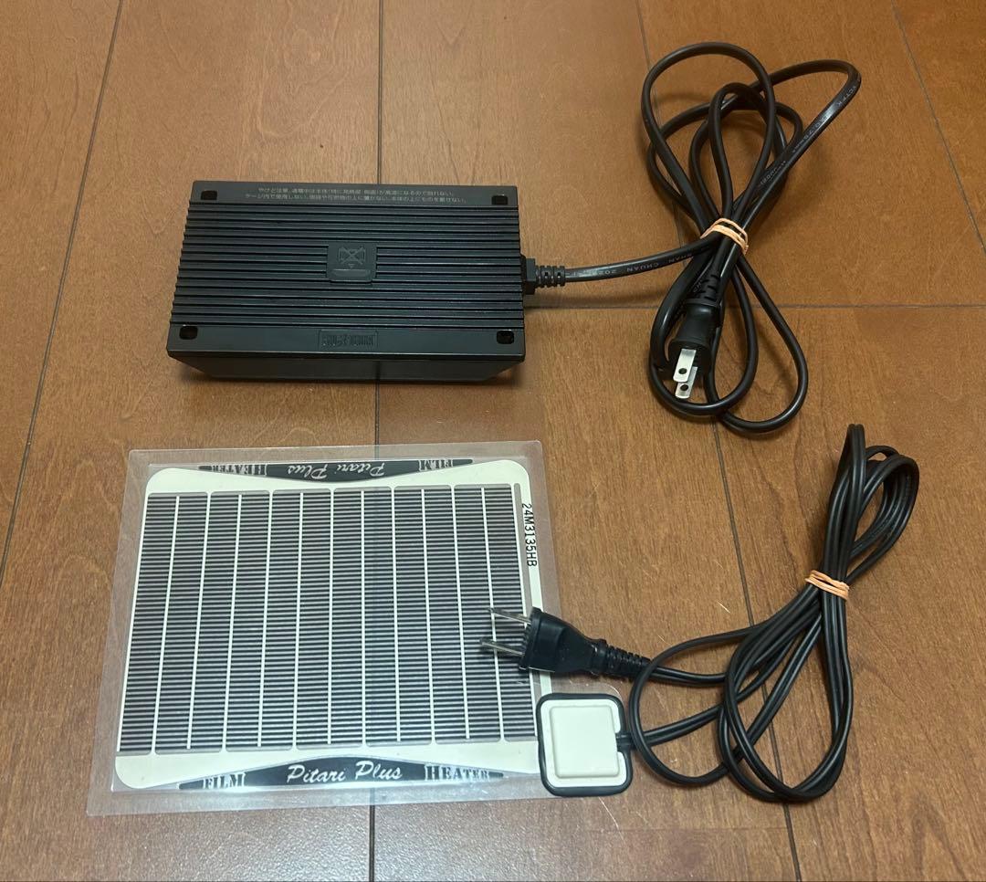 レオパ 飼育セット 爬虫類 11日までに〆