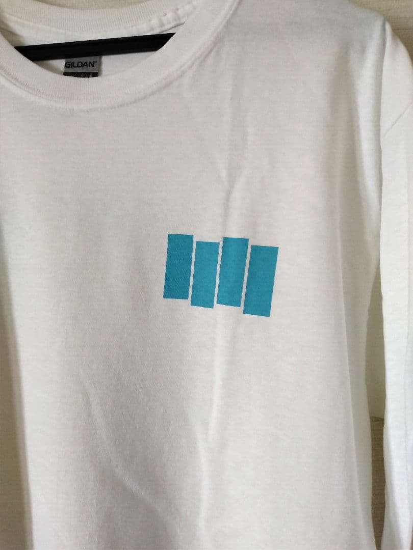 BLACK FLAG ブラックフラッグ Tシャツ　ロンT　長袖　新品未使用