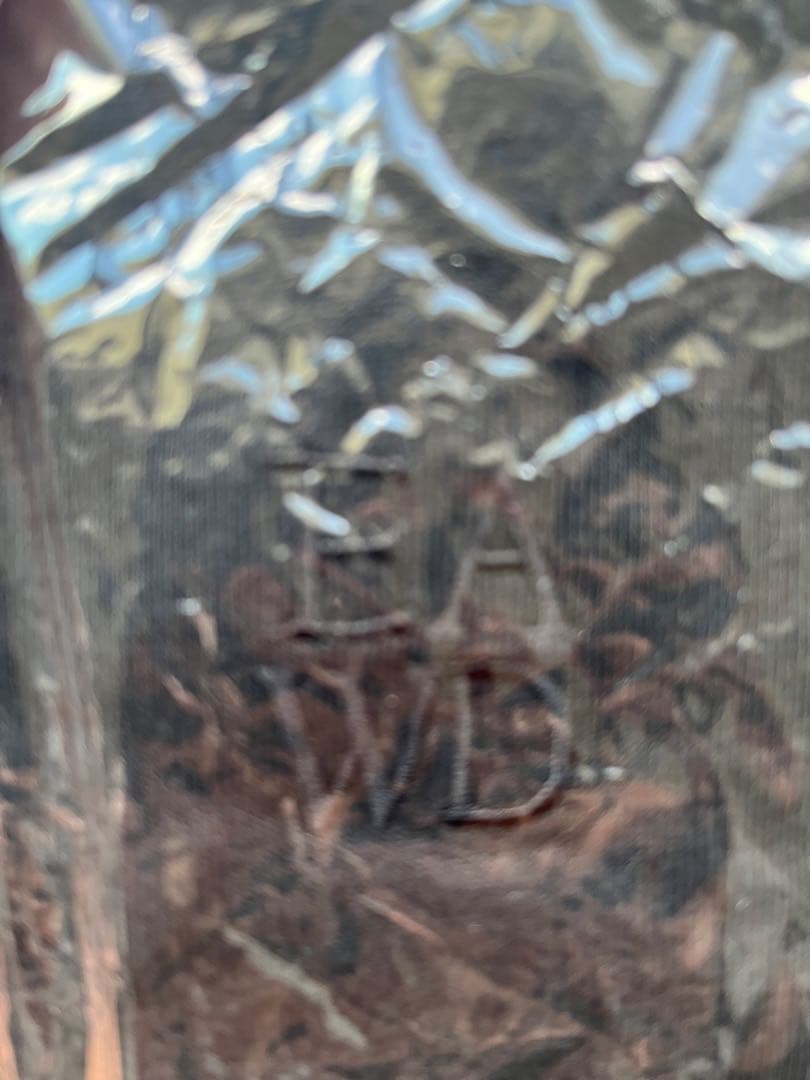 赤楚衛二　ファンクラブグッズ　写真集