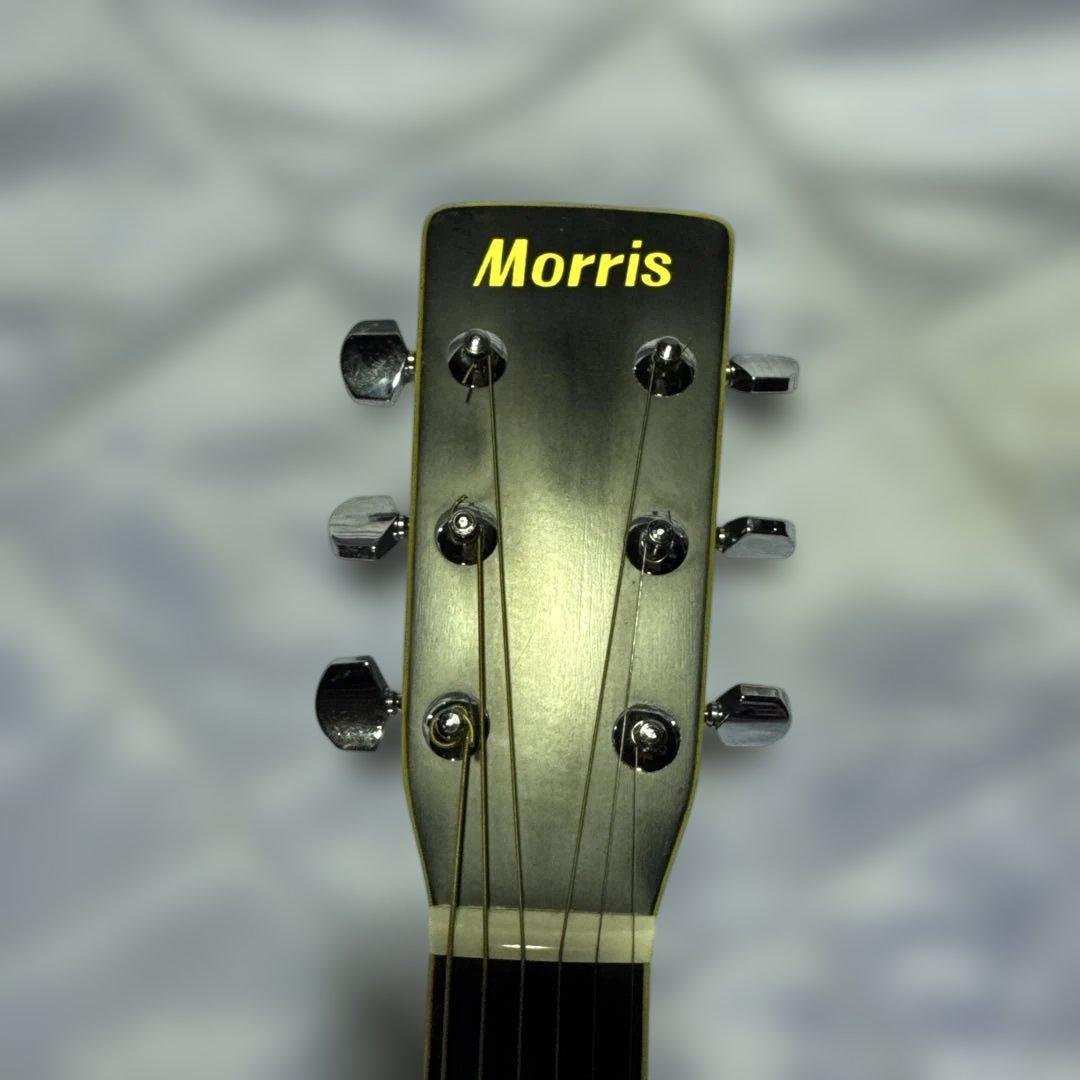 Morris アコースティックギター　w-25 ソフトケース付き