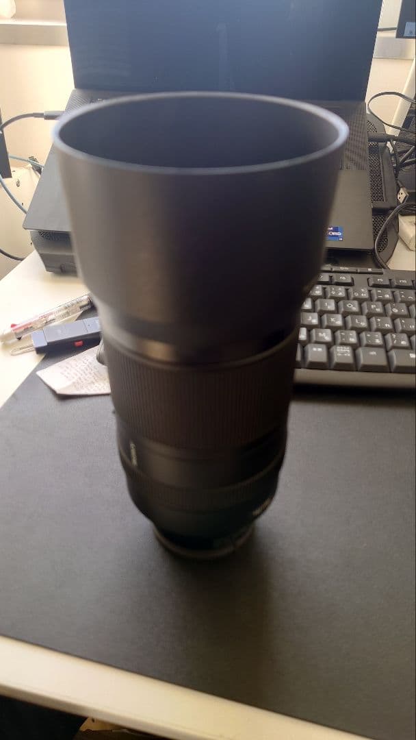 SONY SEL70300G 70-300mm ズームレンズ　α7シリーズ