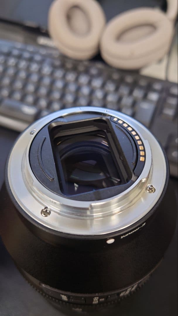 SONY SEL70300G 70-300mm ズームレンズ　α7シリーズ