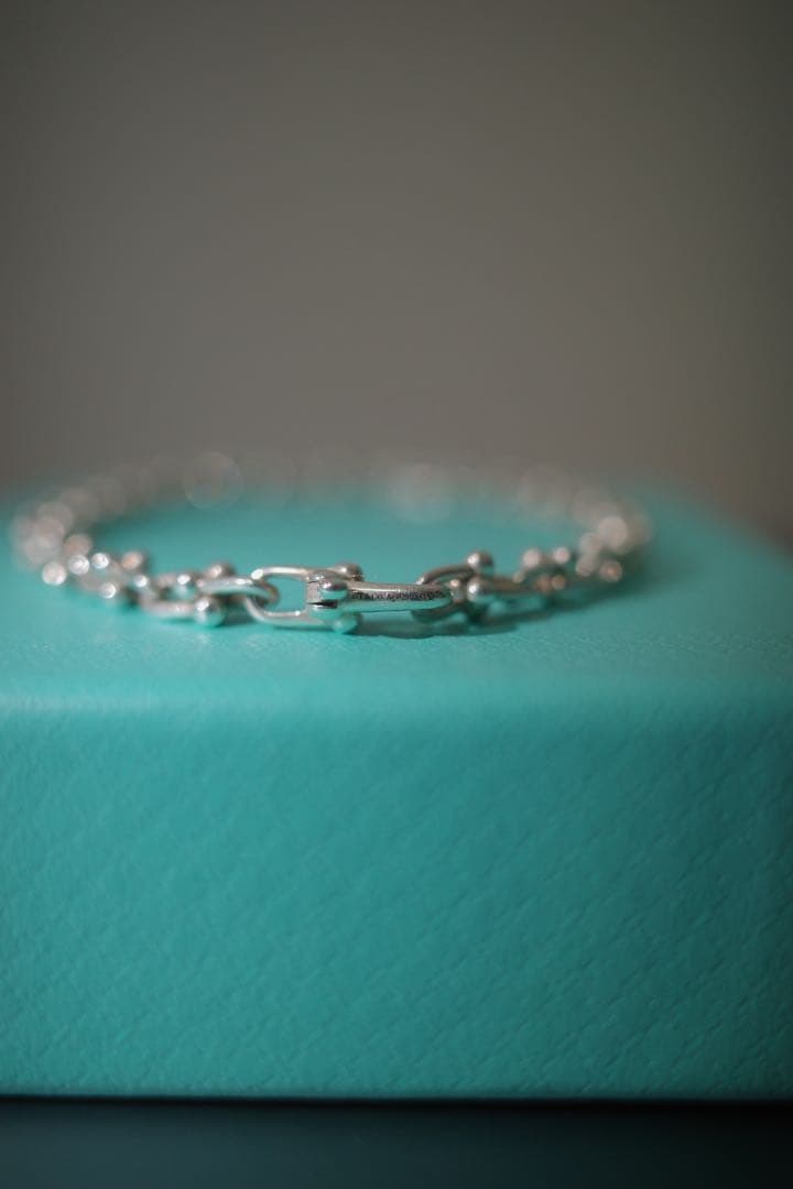 TIFFANY & Co.ティファニー ハードウェア マイクロリンクブレスレット