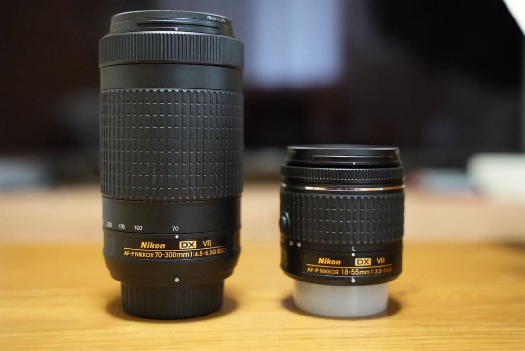 Nikon D5300 ダブルズームキット+α デジタル一眼レフカメラ