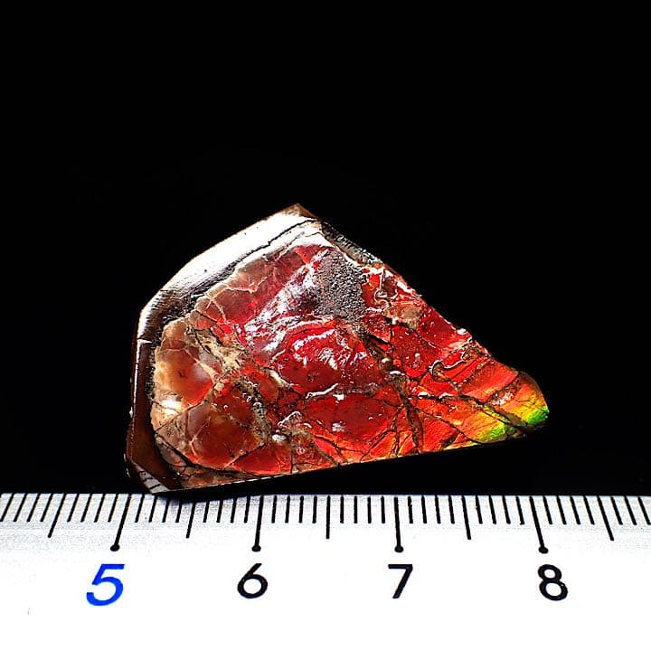 【カナダ/a産】アンモライト(プラセンチセラス)